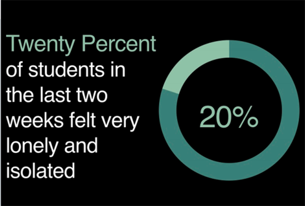 Twenty Percent